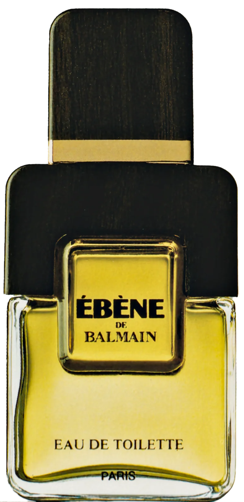 Eternity - 1988 Design by Pierre Dinand©