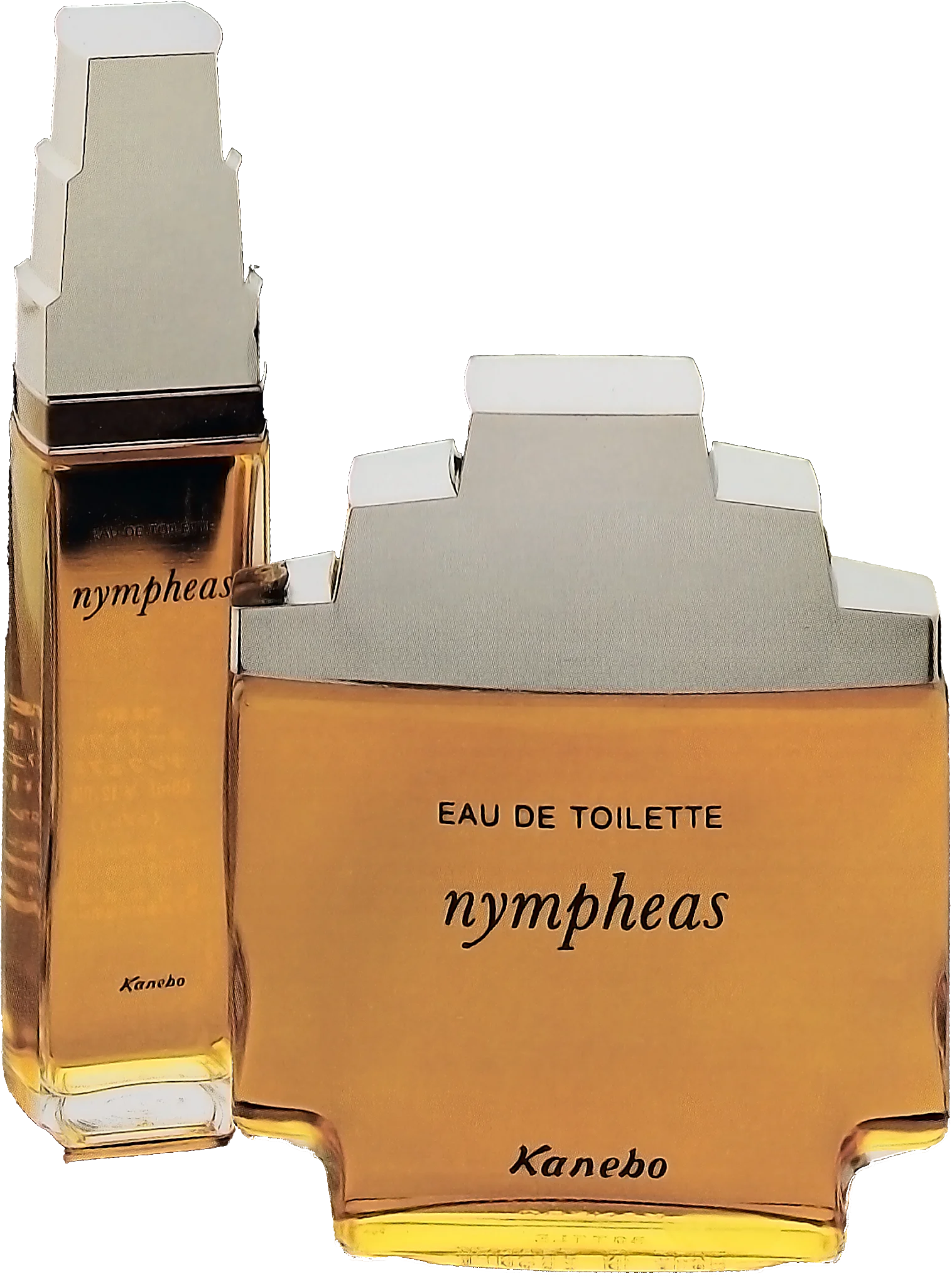 Paco Rabanne Pour Homme - 1973 Design by Pierre Dinand©