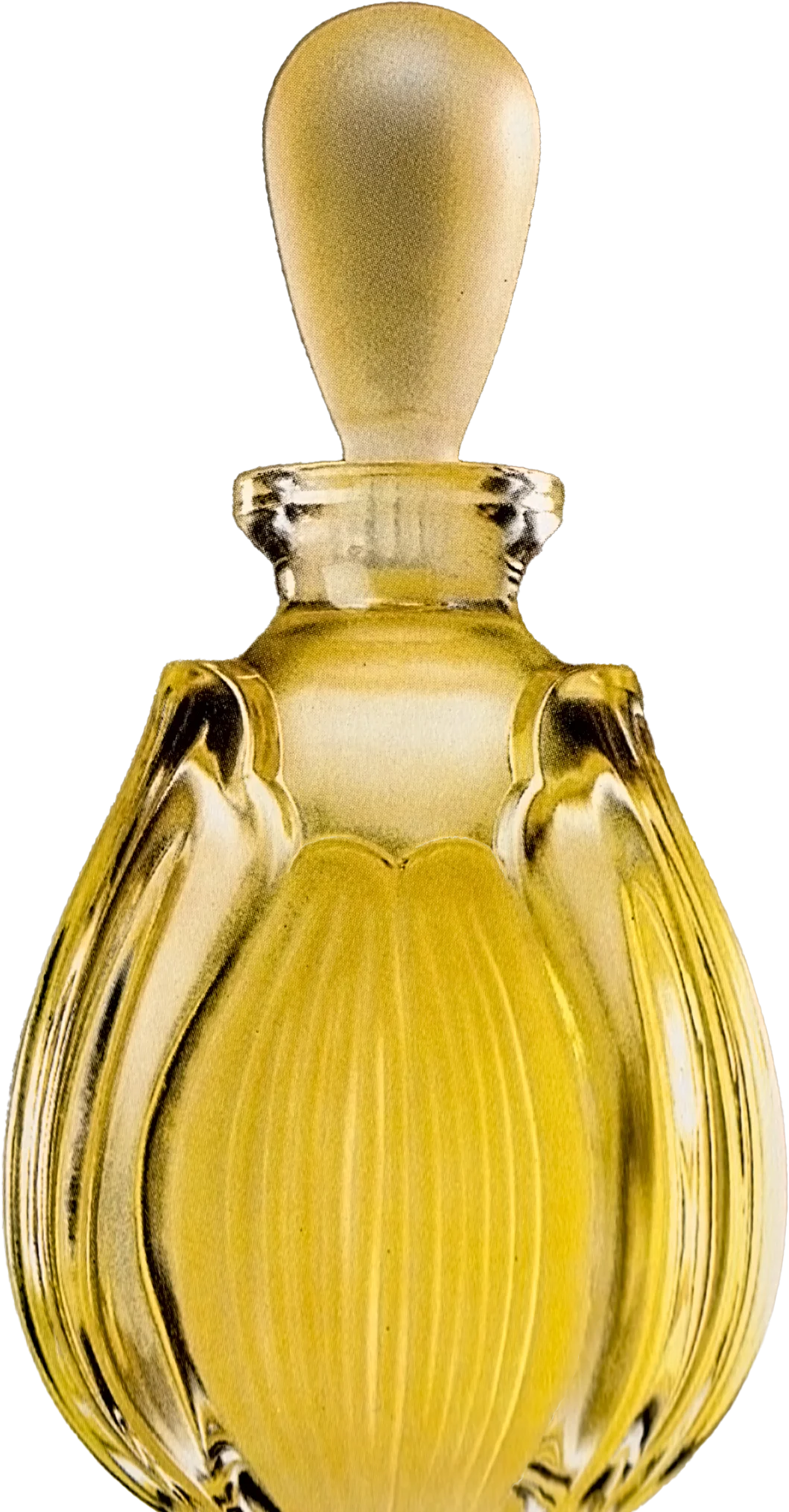 Flacon Misha pour Mikhail Baryshnikov par Pierre Dinand©, 1989
